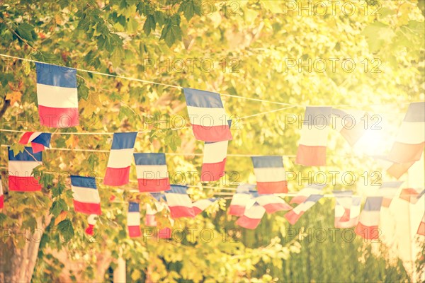 French flags garland, plane trees and sun background in a village square
