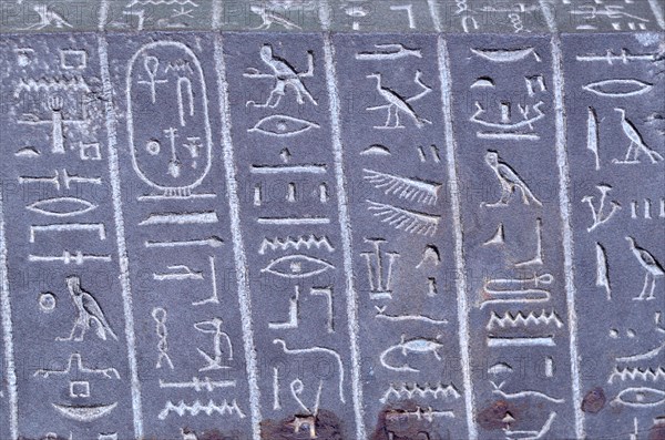 Egyptian hieroglyphs on the Sarcophagus of the 'God's Wife' Ankhnesneferiba. 'Late Period' (664-332 BC) British Museum, Bloomsbury, London, England, U