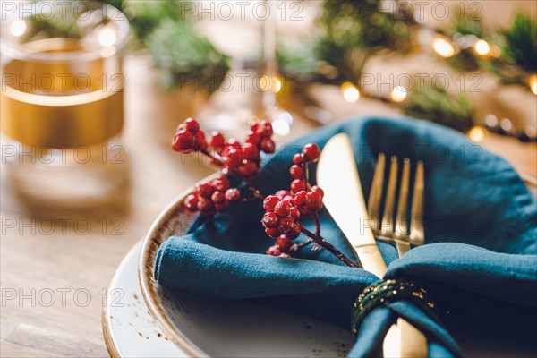 Festive table setting with winter decor. The concept of Thanksgiving or Christmas family dinner.