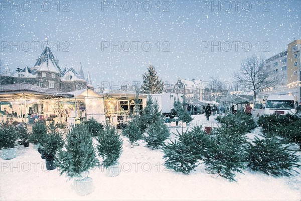 Winter view with market stalls selling christmas trees on the Nieuwmarkt square during snowfall in Amsterdam, The Netherlands