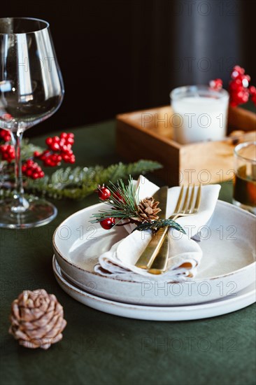 Festive table setting with winter decor. The concept of Thanksgiving or Christmas family dinner.