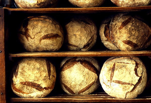 Loaves of bread in Poilane bakery paris