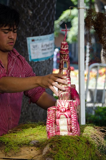 A young man assembles a church carved from radishes at Noche de Rabanos, Oaxaca, Mexico.