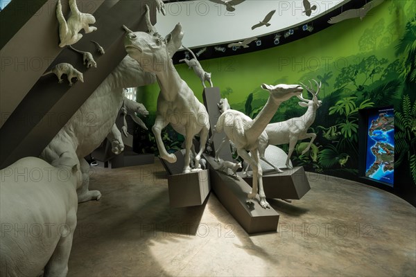 Grand Exchange gallery at Biomuseo / Bridge of Life