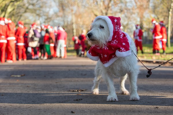 London, UK. 6th Dec, 2014. This year’s Santacon saw hundreds of people dressed up as Santa and his helpers.  They ran around London sing songs and being jolly. Credit:  Neil Cordell/Alamy Live News