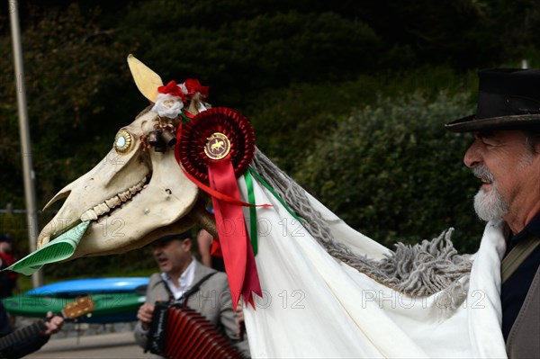The Mari Lwyd Grey Mare or "Gray Mary" , uses a horse's head as part of  a Welsh midwinter tradition.