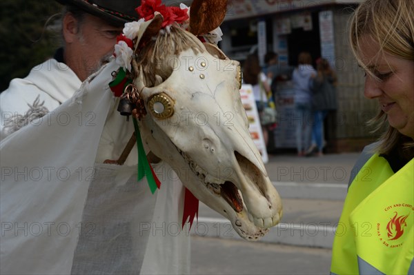 The Mari Lwyd Grey Mare or "Gray Mary" , uses a horse's head as part of  a Welsh midwinter tradition.