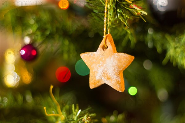 A home-baked gingerbread decoration on a Christmas tree.