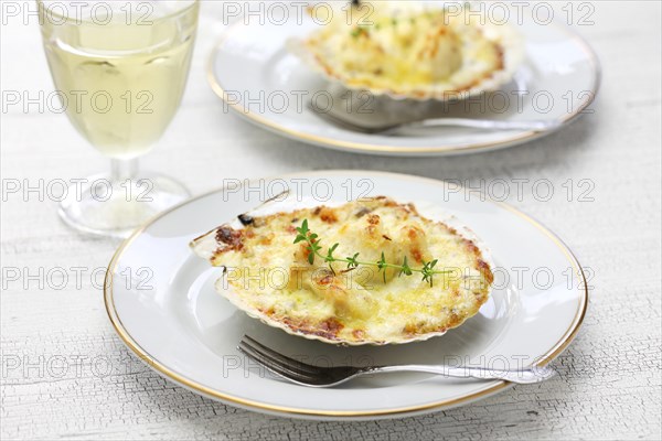 coquilles saint jacques gratin, french scallop cuisine