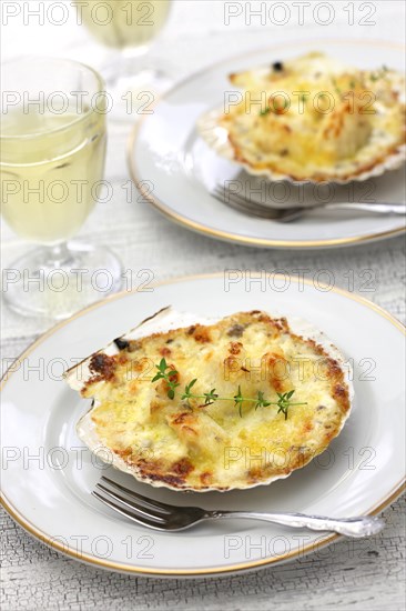 coquilles saint jacques gratin, french scallop cuisine