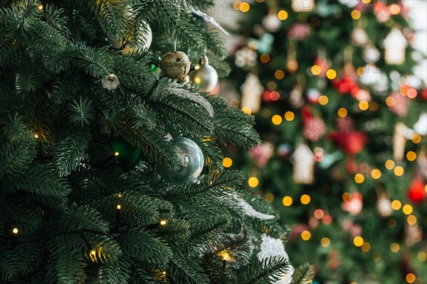 Christmas tree in Christmas living room. Beautiful New Year decorated classic home interior. Winter background