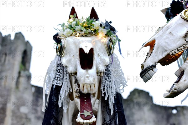 CHEPSTOW, UK. 20 January 2018. Sue Exton and John Exton from Monmouth. Chepstow Wassail and Mari Lwyd (the Grey Mare) celebrations. Itâ€™s a pre-Christian Welsh folk tradition that is said to bring good fortune. Â© Jessica Gwynne Credit: Jessica Gwynne/Alamy Live News