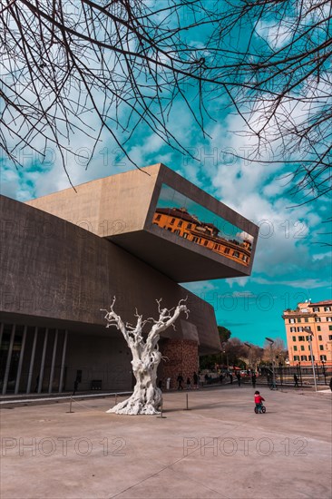 White Tree at the courtyard of MAXXI National Museum of XXI Century Arts , Rome, Italy