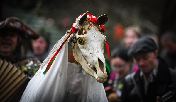 Gower, Swansea, Wales. Sunday 13th January 2019People across Wales have been taking part in the ancient tradition of celebrating the New Year on January 13th, as an alternative to the usual Christmas and New Year celebrations. Pictured are visitors and volunteers at The Gower Heritage Centre, in South Wales, taking part in the Wassail Festival, which included the ancient tradition of blessing apples trees, led by a Mari Lwyd, which is a old l Welsh custom which sees a horses scull mounted in a pole leading people in a parade from house to house in villlage's blessing the New Years. Credit : R