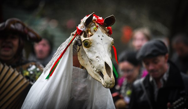 Gower, Swansea, Wales. Sunday 13th January 2019People across Wales have been taking part in the ancient tradition of celebrating the New Year on January 13th, as an alternative to the usual Christmas and New Year celebrations. Pictured are visitors and volunteers at The Gower Heritage Centre, in South Wales, taking part in the Wassail Festival, which included the ancient tradition of blessing apples trees, led by a Mari Lwyd, which is a old l Welsh custom which sees a horses scull mounted in a pole leading people in a parade from house to house in villlage's blessing the New Years. Credit : R