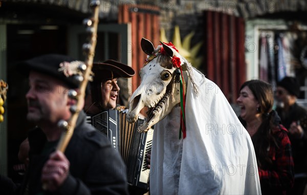 Gower, Swansea, Wales. Sunday 13th January 2019People across Wales have been taking part in the ancient tradition of celebrating the New Year on January 13th, as an alternative to the usual Christmas and New Year celebrations. Pictured are visitors and volunteers at The Gower Heritage Centre, in South Wales, taking part in the Wassail Festival, which included the ancient tradition of blessing apples trees, led by a Mari Lwyd, which is a old l Welsh custom which sees a horses scull mounted in a pole leading people in a parade from house to house in villlage's blessing the New Years. Credit : R