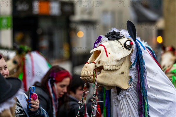 Chepstow, Wales, UK. 19th January 2019. 3pm Saturday 19th January 2019: Chepstow, Wales. The ancient Welsh tradition of Mari Lwyd sees decorated horse skulls  carried from door to door. Morris Dancers and Wassailing followed.