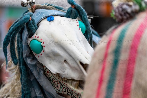 Chepstow, Wales, UK. 19th January 2019. 3pm Saturday 19th January 2019: Chepstow, Wales. The ancient Welsh tradition of Mari Lwyd sees decorated horse skulls  carried from door to door. Morris Dancers and Wassailing followed.