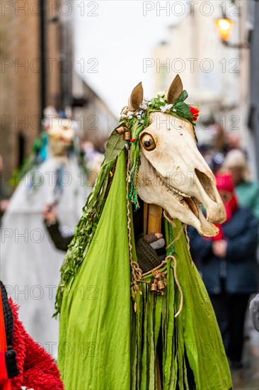 Chepstow, Wales, UK. 19th January 2019. 3pm Saturday 19th January 2019: Chepstow, Wales. The ancient Welsh tradition of Mari Lwyd sees decorated horse skulls  carried from door to door. Morris Dancers and Wassailing followed.