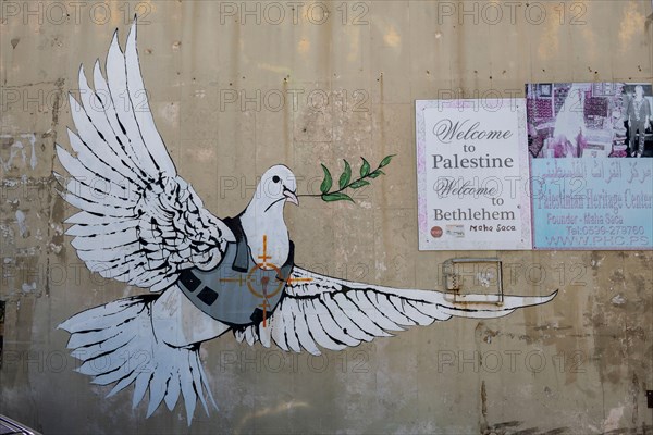 Famous Graffiti by renowned artist Banksy titled 'Armored Dove'  in Bethlehem, Palestine, West Bank