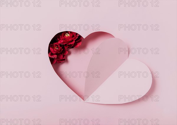 Love message, Saint Valentine Day conceptual flat lay. Top view on cut, curved paper pink heart shape on pink background. Minimal mockup for valentine card, invitation, greeting card. Red rose flower