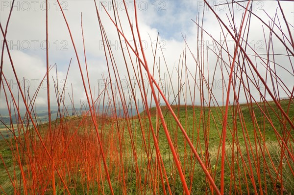 Land Art at the Puy de Chambourguet (Puy de Dôme - France). Land Art au Puy de Chambourguet (Puy de Dôme - France).