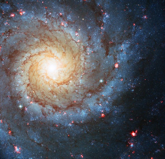 Spiral Galaxy M74 i