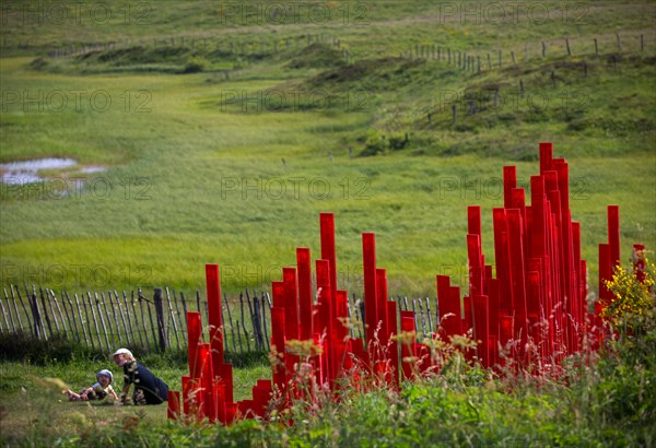 "Earth pulse", a Tagit Klimor's Land Art work of the Israeli visual artist (France).
Landart  installation.