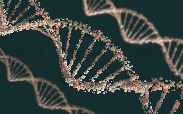 Double helix structure of the DNA in depth of view.