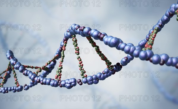 DNA strand