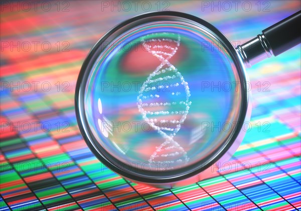 3D illustration. DNA Sanger Sequencing and a Magnifying Glass Showing the DNA Helix.