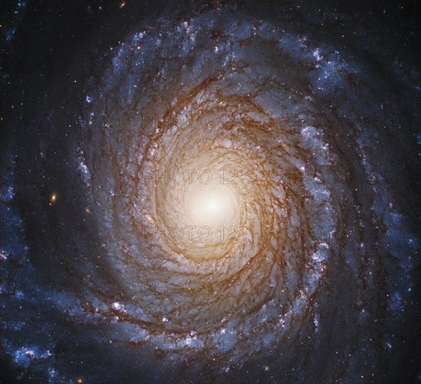The graceful, winding arms of the majestic spiral galaxy NGC 3147 appear like a grand spiral staircase sweeping through space in this Hubble Space Tel