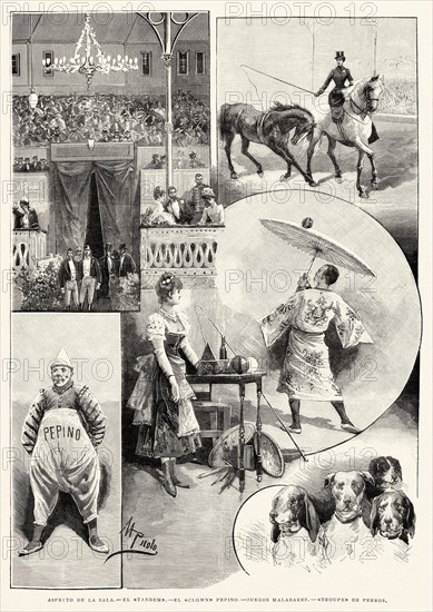 The Colón Circus was a circus installed in the Plaza de Alonso Martínez, in the city of Madrid (Spain), designed by the architect Emilio Muñoz in 1889. Spain. Old XIX century engraved illustration from La Ilustracion Española y Americana 1890