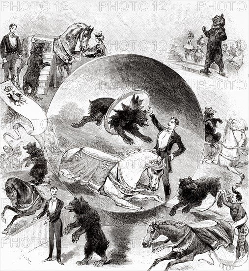 Caviar bear exercises at the Nouveau-Cirque in Paris 1888. Was a circus located in Paris, 251 Rue Saint-Honoré. It was inaugurated on February 12, 1886. France. Europe. Old 19th century engraved illustration from La Nature 1889