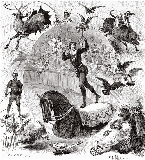 The deer, the geese and pigeons of the Cirque d'Hiver, the pigs and the monkey of the Folies-Bergeres. Paris, France. Europe. Old 19th century engraved illustration from La Nature 1883