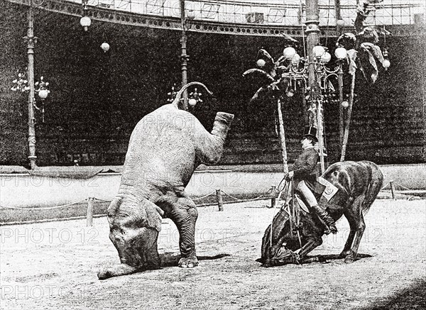 Exercises of a horse and a trained elephant at the Hippodrome de Paris, 1887. France. Old 19th century engraving from La Nature 1887