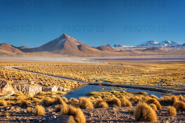 Landscape of the altiplano in Bolivia