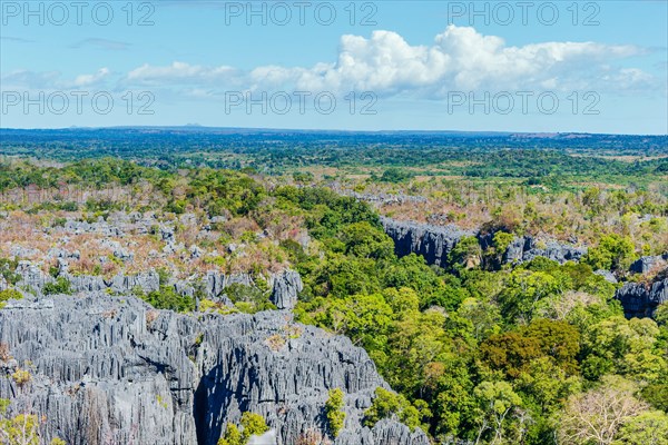 Tsingy de Bemaraha National Park, Madagascar