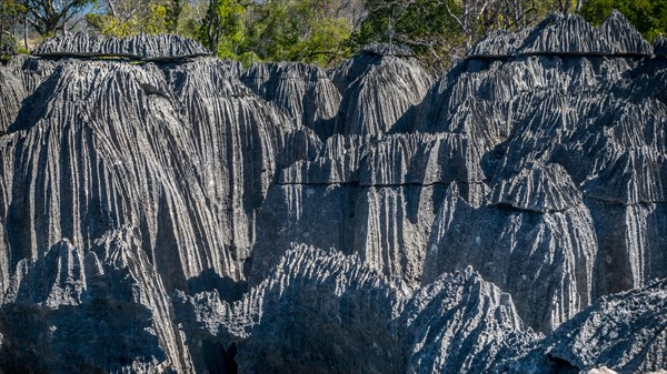 Tsingy de Bemaraha National Park, Madagascar. Picture taken inside the Petit Tsingy part, amongst this karts labyrinth!