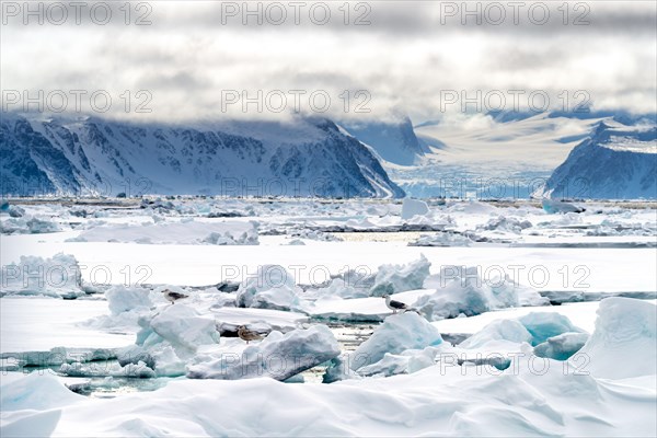 Pack ice in the arctic circle at 80 degrees north, with the mountains and glaciers of Svalbard in the backgound and gulls on the ice in the foreground