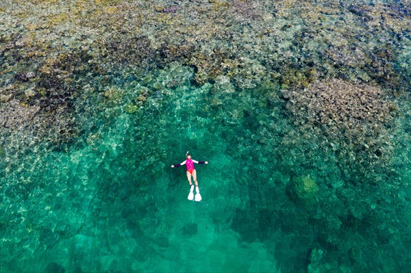 Snorkeling at House Reef of Lissenung, New Ireland, Papua New Guinea