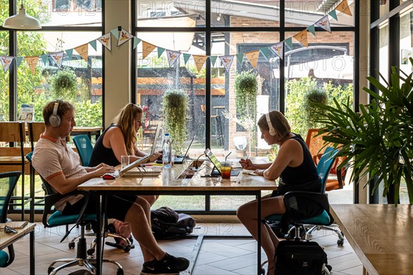 Three people working on laptops at a coworking space