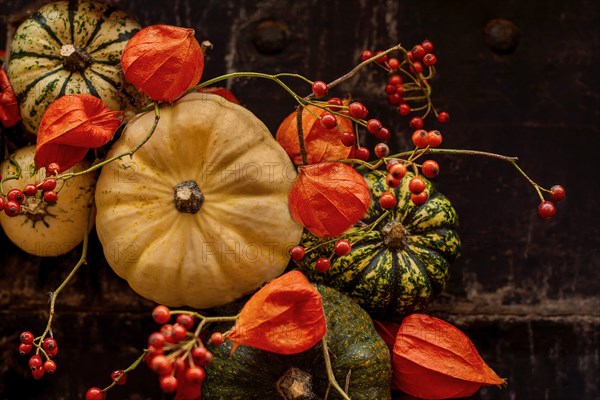 Handmade wreath of the small pumpkins and zucchinis on a vintage door Halloween pumpkins