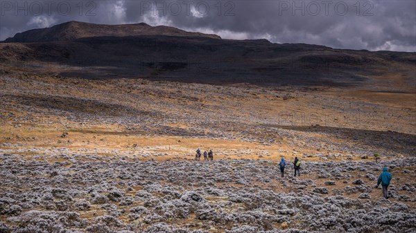 Trekkers on Sanetti plateau, Bale mountains national park, Ethiopia