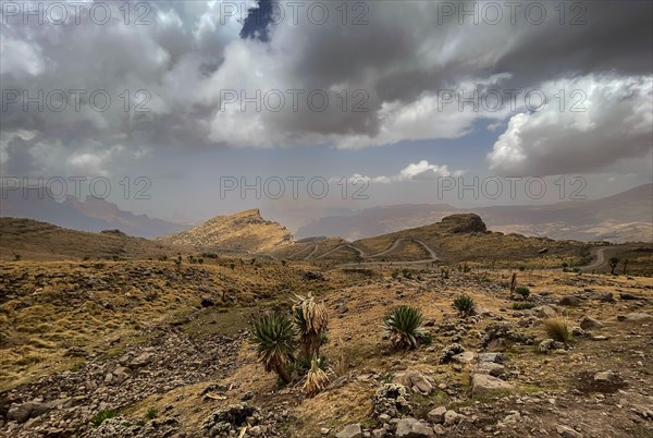 Simien Mountains - beautiful unique mountain landscape from North Ethiopian highlands, Ethiopia.