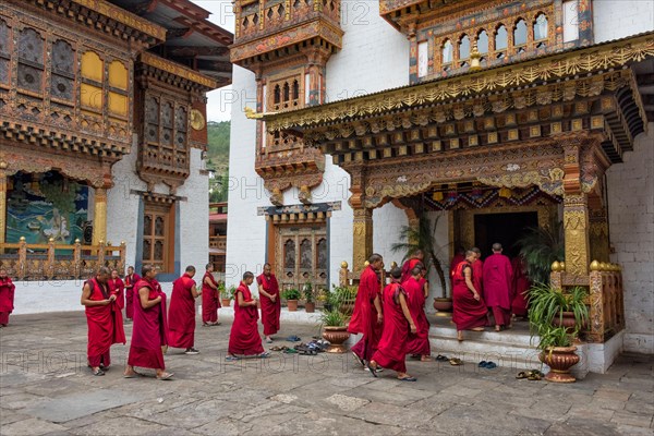 Monks in Punakha Dzong, Punakha, Bhutan