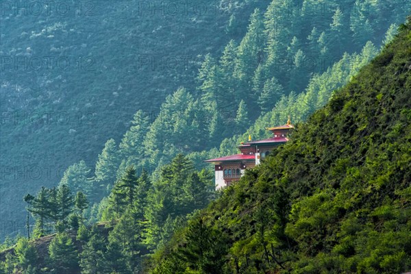 Village in the forest in the Himalayas, Haa, Bhutan
