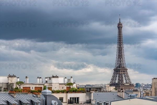 Paris, the Eiffel Tower, beautiful monument, and typical roofs