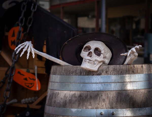 Scary scene of a skeleton looking out of a wine barrel - halloween scene
