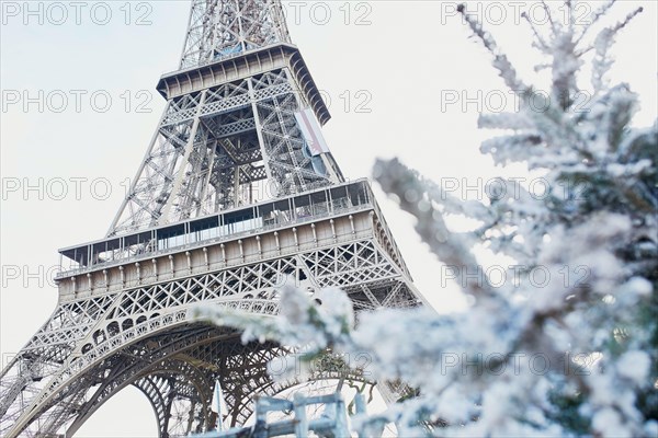 Christmas tree covered with snow near the Eiffel tower in Paris, France